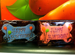 Check out our cat birthday treats selection for the very best in unique or custom, handmade pieces from our shops. Noma Neighbors 2m Noma Apartments In D C Pet Friendly Apartments Noma Unique Toys