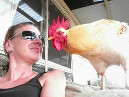 Devastated. He was always here, almost as long as I've been here. If he  wasn't staring at me eye to eye he was resting with some part of his body  touching mine.