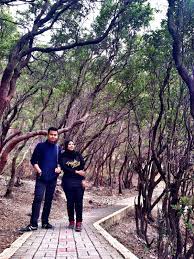 Ingin bercuti ke bandung bersama keluarga dan rekan anda, mengapa tidak ? 5 Tips Travel Ke Bandung Indonesia Ieyra Com