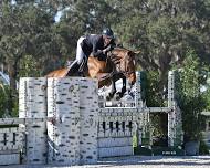 Ocala Holiday Festival