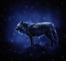 Temukan & unduh gratis 1.000 gambar serigala keren, eskpresikan dirimu dengan gambar serigala terbaik di pixabay. 13 Gambar Serigala Ideas Wolf Art Animal Art Wolf Spirit
