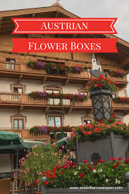 These 11 varieties are also a great gardening option for renters and city dwellers, or to keep certain plants away from burrowing. I Heart Austrian Window Boxes Mel S Garden