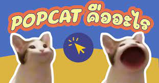 Sanook campus เราก็จะจะพาไปดูที่มาว่า pop cat คืออะไร มาจากไหน แถมพาไปทำความรู้จักเจ้าแมว เจ้าของรูป pop cat กันซักหน่อย. Sxcnu6pqo7bodm