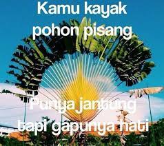 Kamu Kayak Pisang Punya Jantung Tp Gak Punya Hati Lucu Kata Kata Humor Lucu