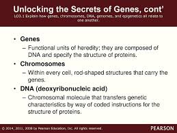 · after you get into a . 3 Genes Evolution And Environment Ppt Download