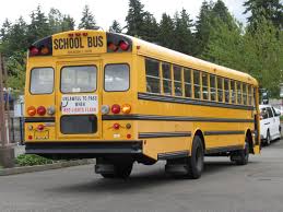 Image result for Saffran Yellow 2007 Transit