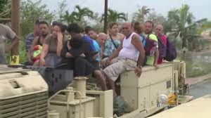 Image result for no rev12 Puerto Rico Great Eagle rescue