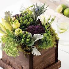 Check spelling or type a new query. 34 Best Olive And Cocoa Flowers Ideas Olive And Cocoa Floral Gifts Flower Arrangements