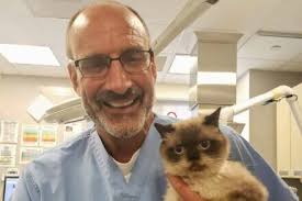 Hero Cats, Escaped Eagle-Owls, and More: The Best Stories from “Ask the  Vet”