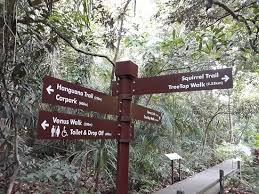 The development of windsor was completed in 1987. Directions Windsor Nature Park Picture Of Treetop Walk Singapore Tripadvisor