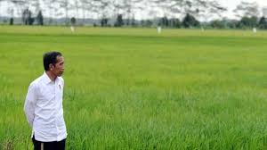 Tugasan sejarah pt3 2018 masyarakat di tempat tinggal. Food Estate Proyek Lumbung Pangan Di Hutan Lindung Pegiat Lingkungan Peringatkan Bencana Dan Konflik Dengan Masyarakat Adat Tidak Terhindarkan Bbc News Indonesia