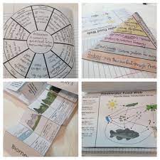 Ecosystems Interactive Notebook Pages Abiotic Biotic Biodiversity Food Cha Interactive Science Notebook Biology Classroom Middle School Science Activities