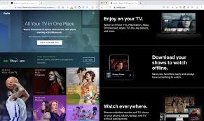 Hulu vs Netflix: Which streaming service is better?‎