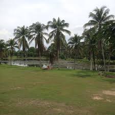 Taman herba also known as the herbs park is a stunning nature park located in perak, malaysia. Taman Herba Negeri Perak Gopeng Perak