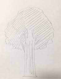 木イラストの描き方 絵の初心者ほど一気に上達する 木の書き方練習法 教えます イラスト講座 画力ゼロからはじめるイラスト漫画生活 木イラスト イラスト 描画のためのアイデア