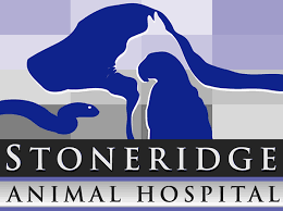 Serving the norman, oklahoma, area since 1995! Stoneridge Animal Hospital L Veterinarian Edmond Ok Oklahoma City Ok