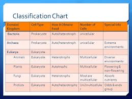 8 Chart Image Biology Kingdom Classification Chart Www