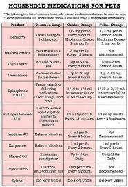 Good Information For Dogs And Cats Meds For Dogs Dog Medicine Pet Meds