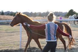 How to lunge a horse. Lunging A Horse In A Round Pen How To Guide For Beginners