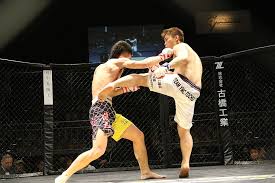 Ufc Weight Classes Kg Lbs And Stone Summary Of Men S Women S Divisions