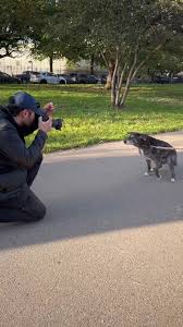 Clyde Elmore Photography