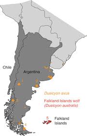 The falkland islands wolf, also known as the warrah and occasionally as the falkland islands dog, falkland islands fox, warrah fox, or antarctic wolf, was the only native land mammal of the falkland islands. The Origins Of The Enigmatic Falkland Islands Wolf Nature Communications