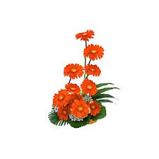 Maybe you would like to learn more about one of these? Online Flower Shop In Bangalore Buy Flowers In Bangalore