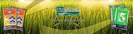 Langkavi, kedaha, malaizija mahsuri travel & tours sdn. Pm Mahsuri Sdn Bhd Jobs And Careers Reviews