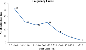 Image result for Rinorea brachypetala