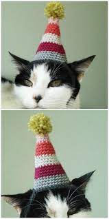 Crochet Cat Hat Pattern For Cat Ideas The Whoot Cat Hat Pattern Crochet Cat Hat Crochet Cat