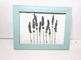 Check spelling or type a new query. Pressed Flowers Display Real Lily Of The Valley Dried Etsy In 2021 Flower Display Framed Dried Flowers Pressed Flowers Frame
