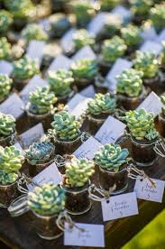 The Best Wedding Diy Ideas On Pinterest Summer Wedding Favors Succulent Wedding Favors Wedding Favors For Guests