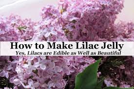 Check spelling or type a new query. How To Make Lilac Jelly Yes Lilacs Are Edible As Well As Beautiful
