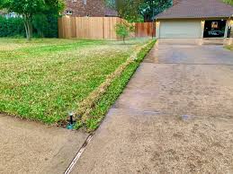Available on request cash flow: St Augustine Grass For Sale Houston Tx Sod Delivery 77099
