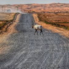Pin By Salem Ali On المها Natural Landmarks Landmarks Nature
