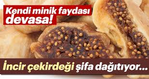 Incir Cekirdegi Yaginin Faydalari Nelerdir Saglik Haberleri