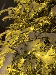 perceptions Archives - The Opera Queen