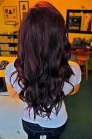 These are the best box hair dye brands for in the lab, we dye swatches with brown, blonde, red, and black shades and evaluate them for their gray coverage. Dark Brown Hair With A Tint Of Red Hair Color Cherry Coke Winter Hair Color Hair Styles