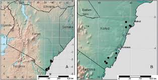 Image result for Dovyalis hispidula