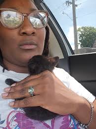 Cats freak out when hiding under covers