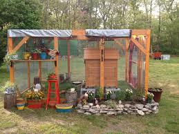 a side view of the chicken run with herbs and flowers what else can i add lol easy chicken coop chickens backyard backyard poultry