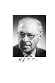 HERMANN JOSEPH MULLER