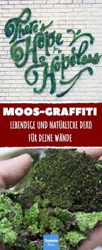 Wenn Die Pampe Auf Der Wand Verteilt Wird Sieht Es Aus Wie Vandalismus Aber Tage Spater Gehen Allen Die Augen Uber Mo Diy Gartenprojekte Garten Garten Deko
