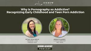 Why is Pornography so Addictive? A Parents Guide to Recognizing &  Understanding Teen Porn Addiction