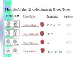 Codomiance in genetics refers to:. Extending Mendel Genetics Other Genetic Variations Dominance Variations Complete Incomplete Codominance Polygenetic Multiple Alleles Pleiotropy Ppt Download