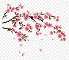 Japanese culture japanese art coloring pages japanese art inspiration coloring book japanese cherry blossom coloring pages japanese coloring pages for adults japanese coloring pages free printable japanese designs coloring book. This Page Contains Information About Japanese Flower Transparent Chinese Flowers Png Png Download Vhv