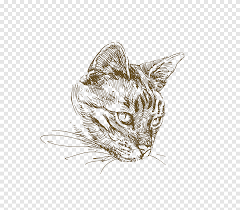 How to draw a cat cara menggambar kucing hei, leave a message if you want me to draw something. Ilustrasi Gambar Kucing Kucing Kucing Yang Dicat Lukisan Cat Air Mamalia Png Pngegg