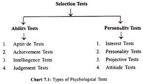 Job Selection Test Purpose Types Ability And Developing A