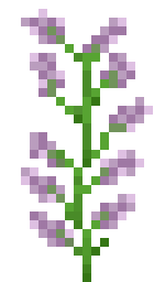 Pink Minecraft Flowers Png Lilac Png 150 256 Minecraft Drawings Pixel Art Minecraft Pixel Art lilac png 150 256 minecraft