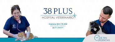 38 PLUS HOSPITAL VETERINARIO